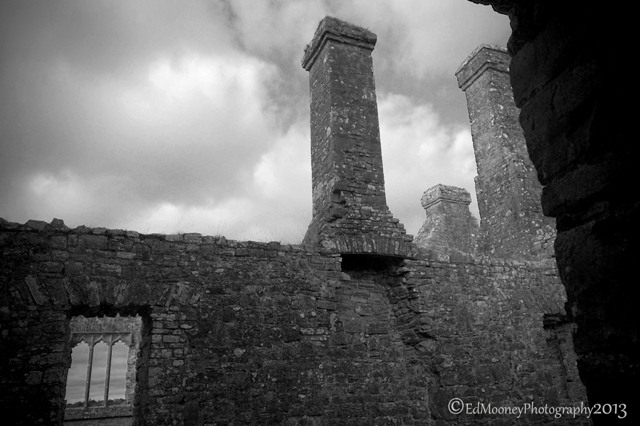 Bective Abbey (3)