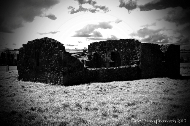 Coolbanagher Medieval Ruin (22)