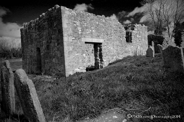 Coolbanagher Medieval Ruin (24)
