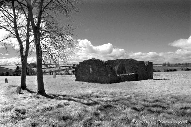 Coolbanagher Medieval Ruin (27)