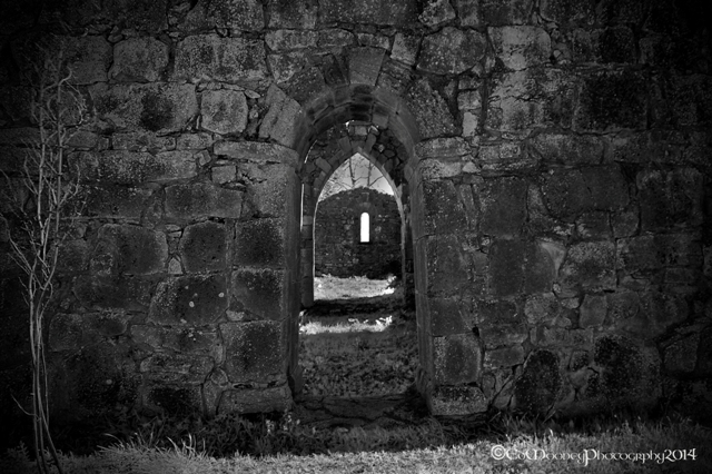 Coolbanagher Medieval Ruin (3)