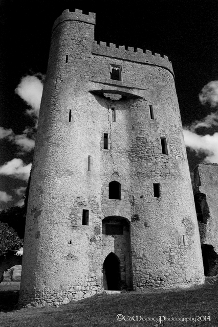Ballyadams Castle (34)